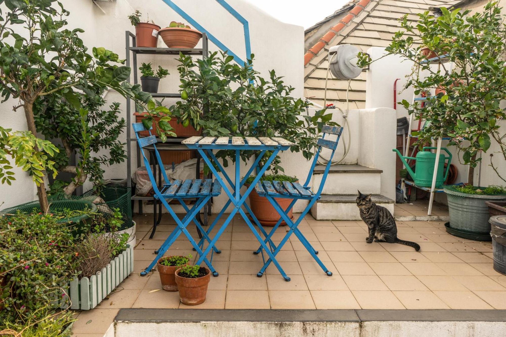 Cinque Lampadi Rooftop Cenova Dış mekan fotoğraf